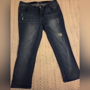 Democracy 5 Pocket Distressed Jeans 18W